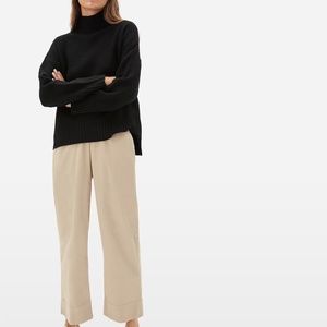Everlane Cashmere Stroopwafel Turtleneck